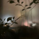 Sombre, Tableau n°10 © Marion Bartel