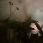 Sombre, Tableau n°10 © Marion Bartel