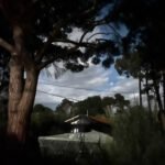 Suspendu, Tableau n°24 © Marion Bartel