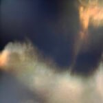 Obsession, Tableau n°6 © Marion Bartel